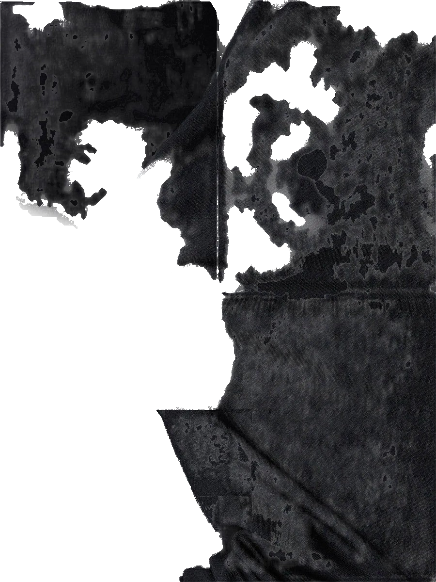 Active Shirt - Zwart