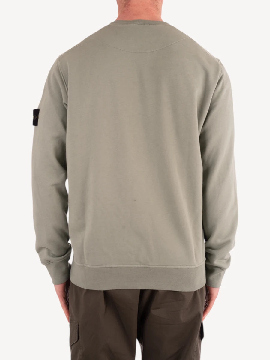 Sweatshirt 6100044 - Sage